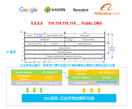智慧DNS系统(图7)